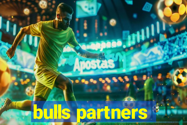 bulls partners